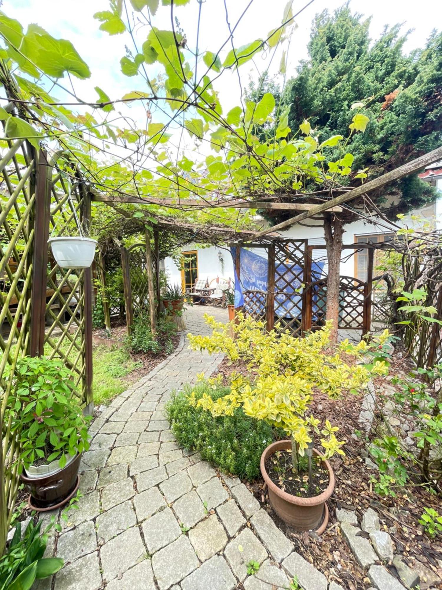 Innas Ambiente Hehlen Exterior foto