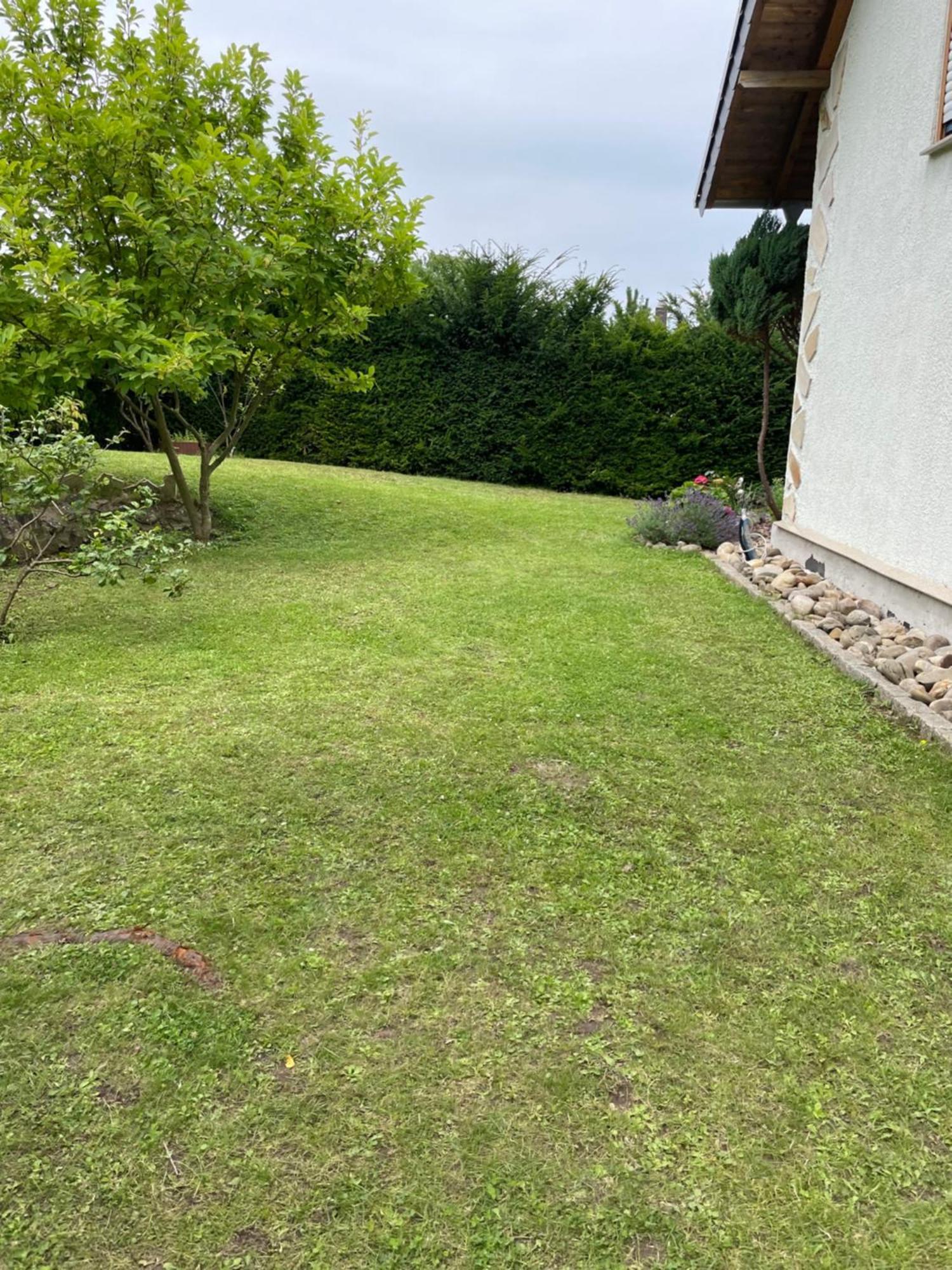 Innas Ambiente Hehlen Exterior foto
